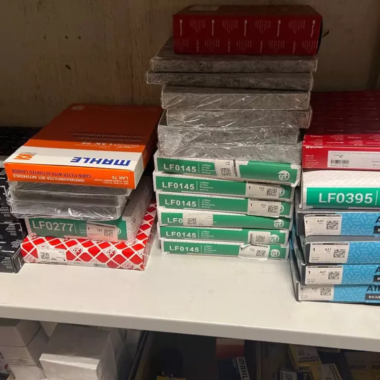 XXXL (11)